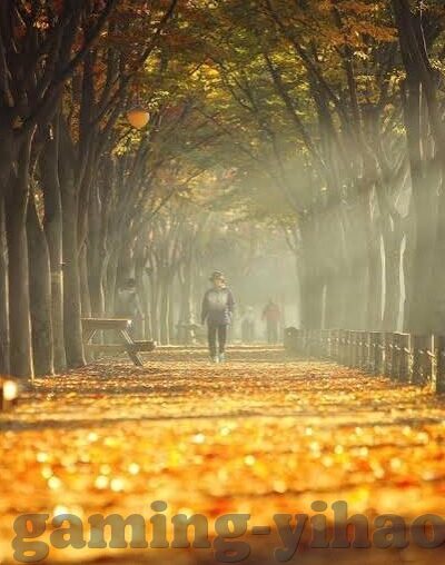 世界杯猜比赛赢奖金-世界杯猜比赛赢奖金，一场激情与智慧的碰撞